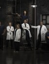  Grey's Anatomy saison 11 : une saison mouvement&eacute;e 
