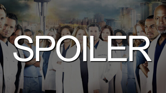 Grey's Anatomy saison 11 : grosse rupture pour Meredith et Derek ? Rhimes hésite