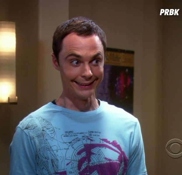 The Big Bang Theory : la saison 6 débarque sur NRJ 12 ce mercredi 27 août