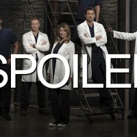 Grey's Anatomy saison 11 : la rupture d'un couple ? "Une grande opportunité"