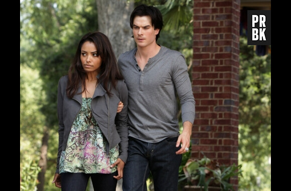 The Vampire Diaries saison 6 : Damon et Bonnie ensemble en 2015 ?