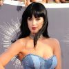 Katy Perry clashée par son frère à cause de sa musique
