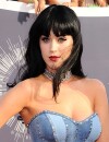 Katy Perry clashée par son frère à cause de sa musique