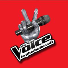 The Voice 4 : la date de diffusion sur TF1 dévoilée