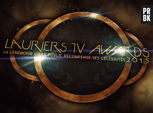 Les Lauriers TV Awards 2015 : la cérémonie organisée le 6 janvier 2015, à la Cigale