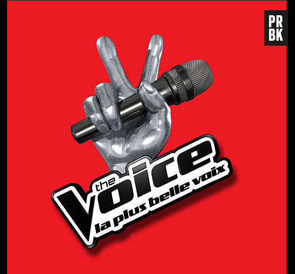 The Voice 4 débarque le 10 janvier 2015, sur TF1
