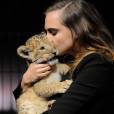 Cara Delevingne Calins Et Grimaces Avec Un Bebe Lion Trop Mignon A Paris Purebreak