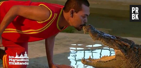 Les Marseillais en Thaïlande : les candidats à la rencontre des crocodiles