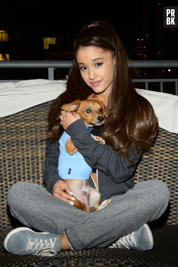 Ariana Grande s'associe à un refuge pour animaux pour aider des chiens à être adoptés