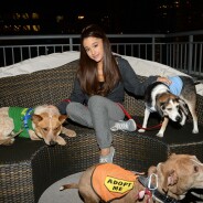 Ariana Grande généreuse : son cadeau qui a du chien à certains de ses fans