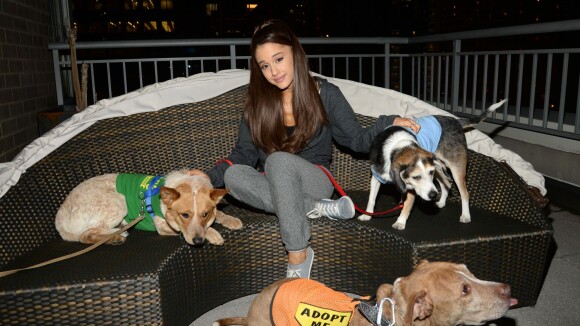 Ariana Grande généreuse : son cadeau qui a du chien à certains de ses fans