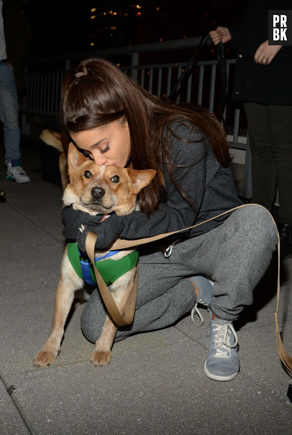 Ariana Grande fans des chiens