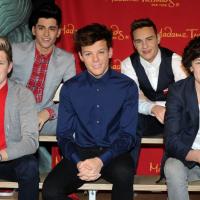 Zayn Malik : son départ des One Direction crée des emplois insolites