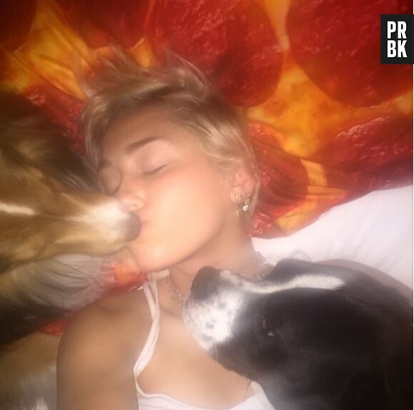 Miley Cyrus et ses chiens