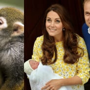 Royal Baby : un zoo crée la polémique après la naissance de la Princesse Charlotte