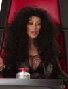  Christina Aguilera en Cher dans une vid&eacute;o promo de la saison 8 de The Voice US 