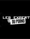 Les Experts du porno : une parodie signée Pierre Niney pour Casting(s) sur Canal+ pendant le Festival de Cannes 2015