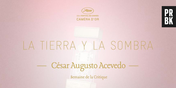 Festival de Cannes 2015 : le palmarès complet