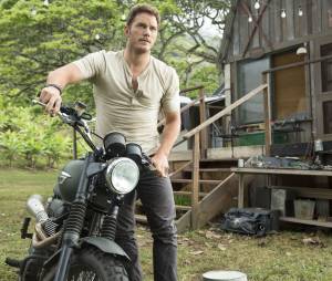 Jurassic World : Chris Pratt sur une image extraite du film