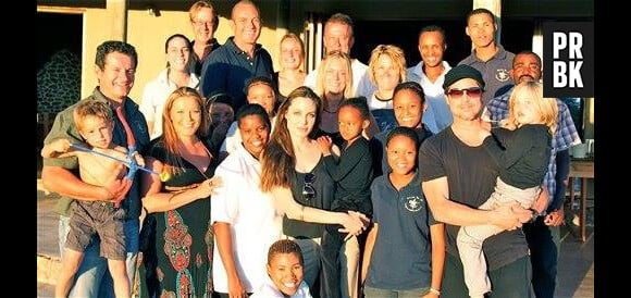 Angelina Jolie : elle adopte 3 bébés guépards dans une réserve naturelle en Namibie, juin 2015