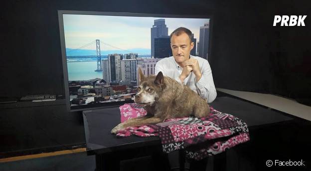 Une photo tirée du Facebook de la chienne Quasi Modo lorsqu'elle s'est rendue sur un plateau TV.