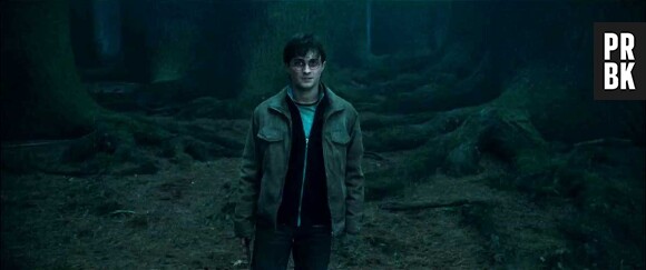 Harry Potter : le spin-off est prévu au cinéma le 16 novembre 2016