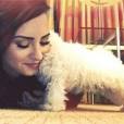  Demi Lovato en deuil : son chien Buddy est mort 