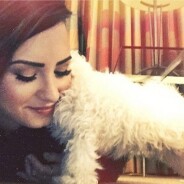 Demi Lovato : les circonstances glauques et traumatisantes de la mort de son chien