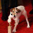  The Artist : Uggie pose avec un Golden Globes 