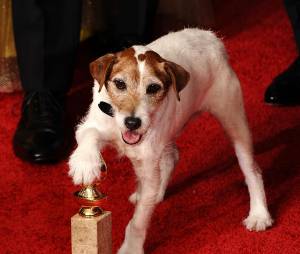 The Artist : Uggie pose avec un Golden Globes