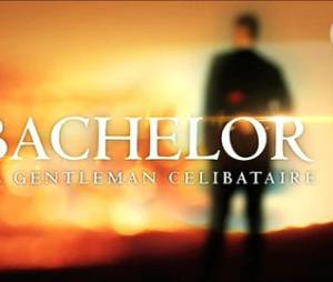 Le Bachelor 2015 : un nouveau gentleman célibataire pour la saison 3