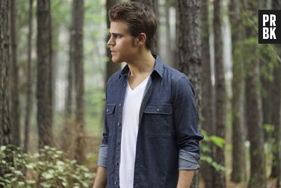 The Vampire Diaries saison 7 : quel avenir pour Stefan ?