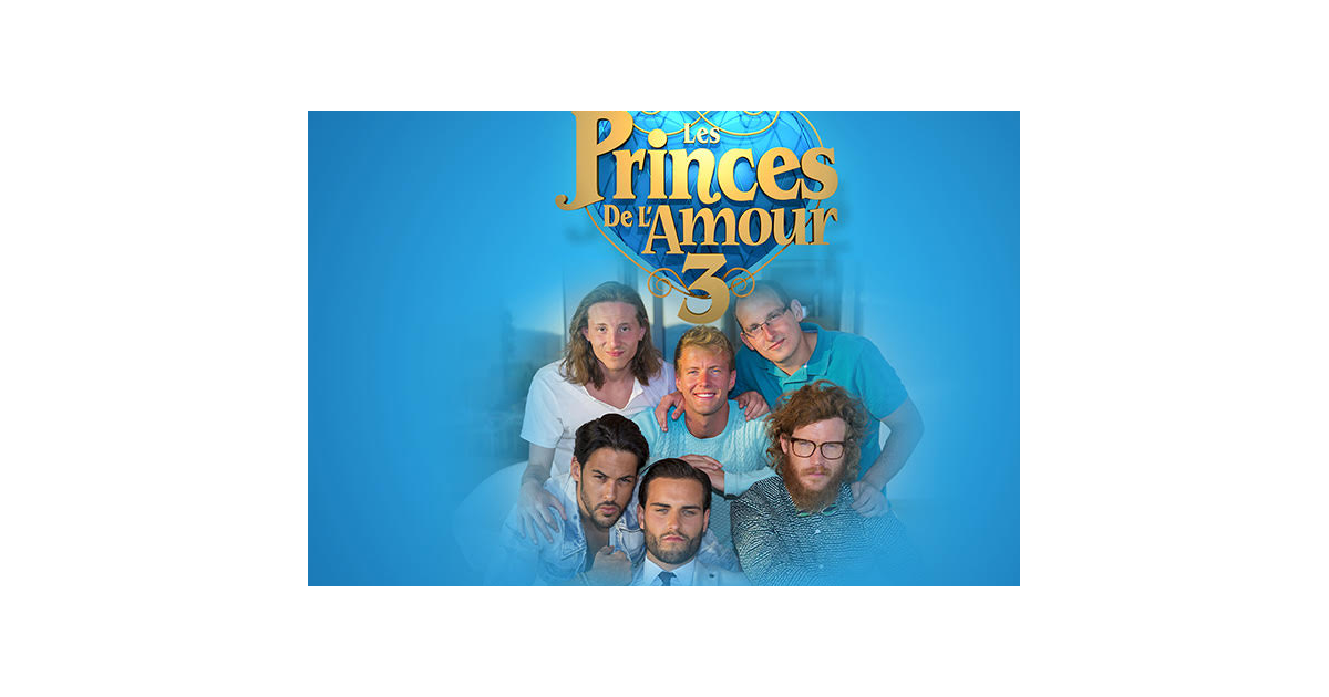 Les Princes De L'amour 3