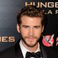 Liam Hemsworth classe à l'avant-première de Hunger Games 4 à Paris le 9 novembre 2015