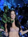 Adriana Lima sexy lors du défilé Victoria's Secret Fashion Show 2015 à New-York, le 10 novembre 2015