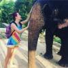 Gaëlle (Les Ch'tis) et un éléphant pendant ses vacances en Thaïlande