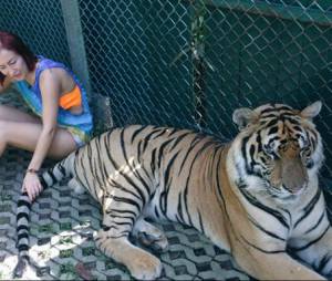 Gaëlle (Les Ch'tis) et une tigre pendant ses vacances en Thaïlande
