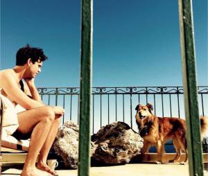 Mika gaga de ses chiens sur Instagram