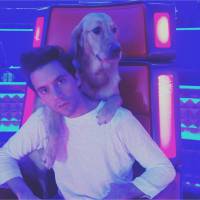Mika : ses chiens s&#039;invitent sur le plateau de The Voice 5