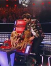 Mika débarque avec ses chiens sur le plateau des auditions de The Voice 5