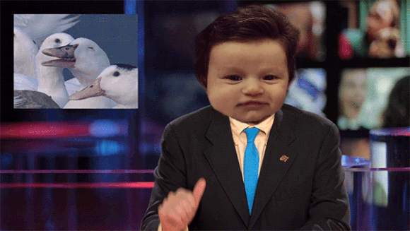 Baby Izzy : ce bébé chevelu devient la nouvelle star du web
