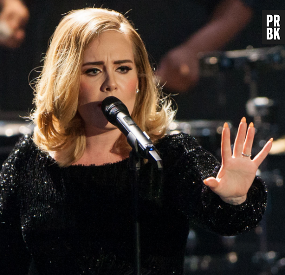 Adele n'apprécie pas le comportement irrespectieux de certains de ses fans.