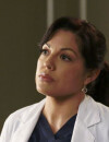 Grey's Anatomy saison 13 : Sara Ramirez quitte la série