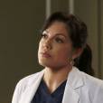 Grey's Anatomy saison 13 : Sara Ramirez quitte la série
