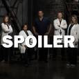 Grey's Anatomy saison 13 : un autre départ en vue ?