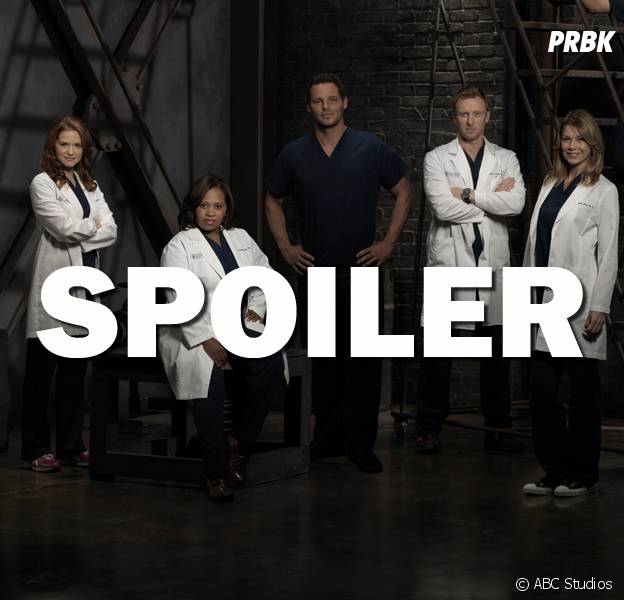 Grey's Anatomy saison 13 : un autre départ en vue ?