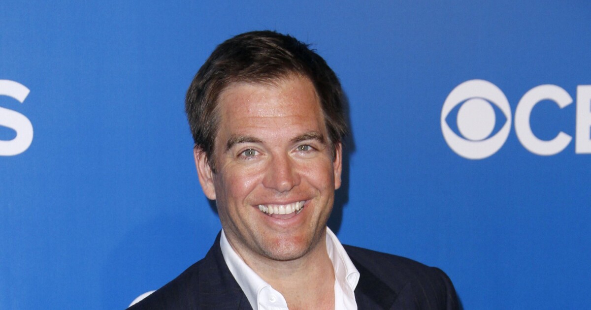 NCIS saison 14 : découvrez le remplaçant de Michael Weatherly - PureBreak