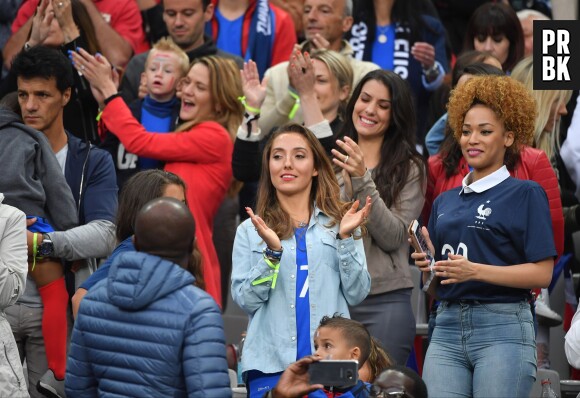Les femmes des Bleus pendant le match France-Islande le 3 juillet 2016