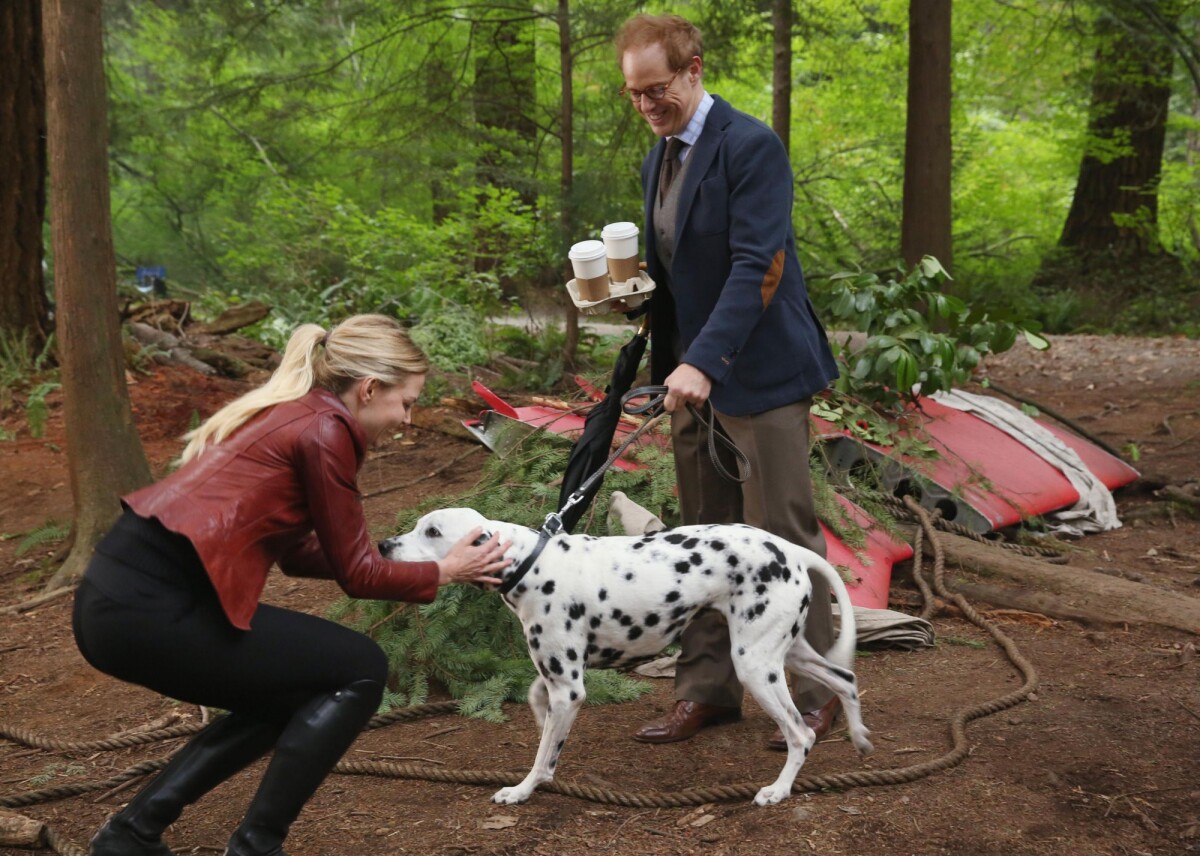 Photo : Once Upon a Time saison 6, épisode 1 : Archie de retour sur une