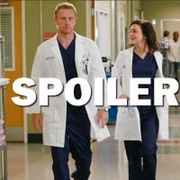 Grey&#039;s Anatomy saison 13 : Amelia et Owen vers la rupture ? Caterina Scorsone se confie